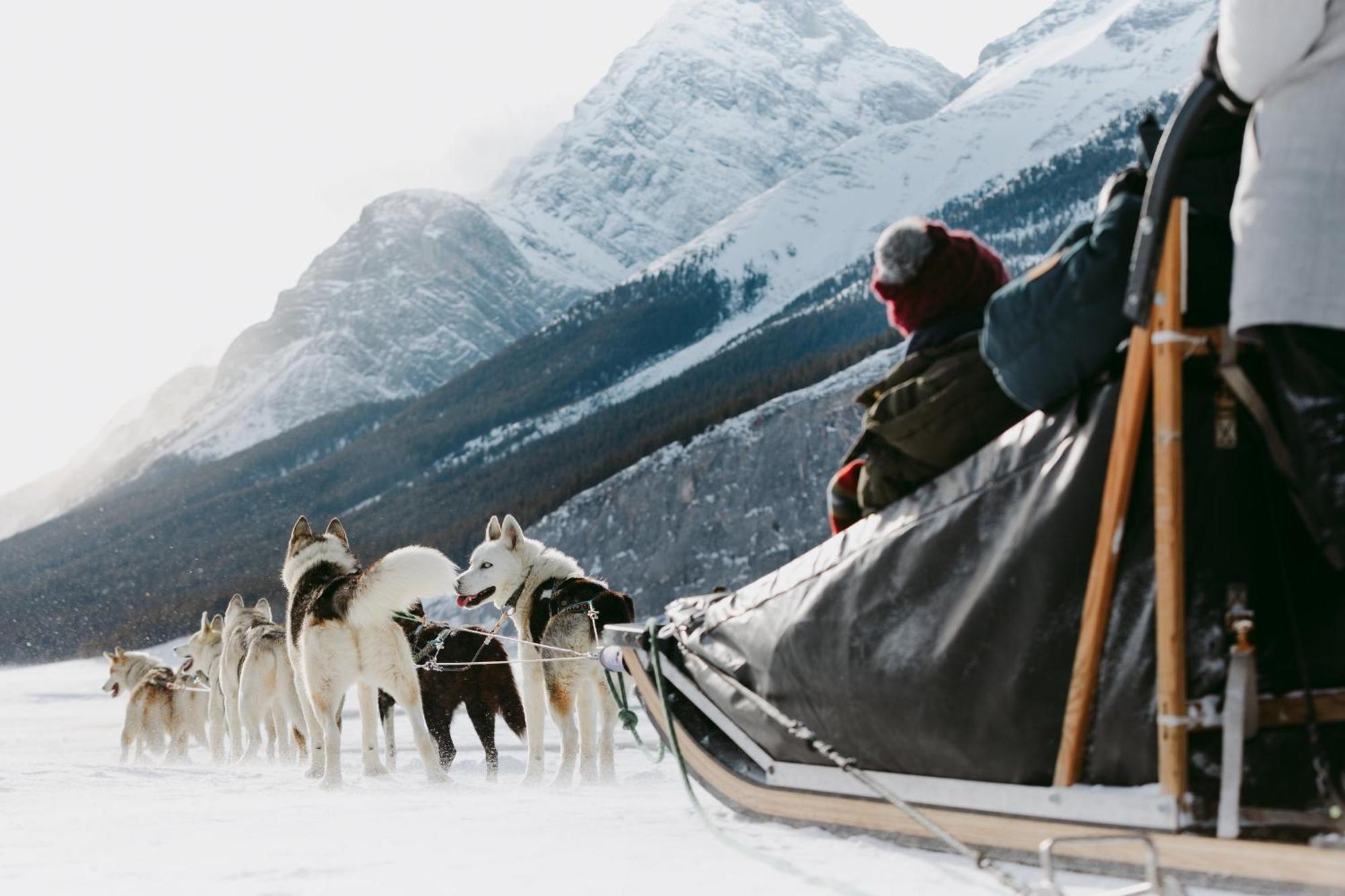 Special! New Downtown Mtn View Free Parking 2B&2B Appartement Canmore Buitenkant foto